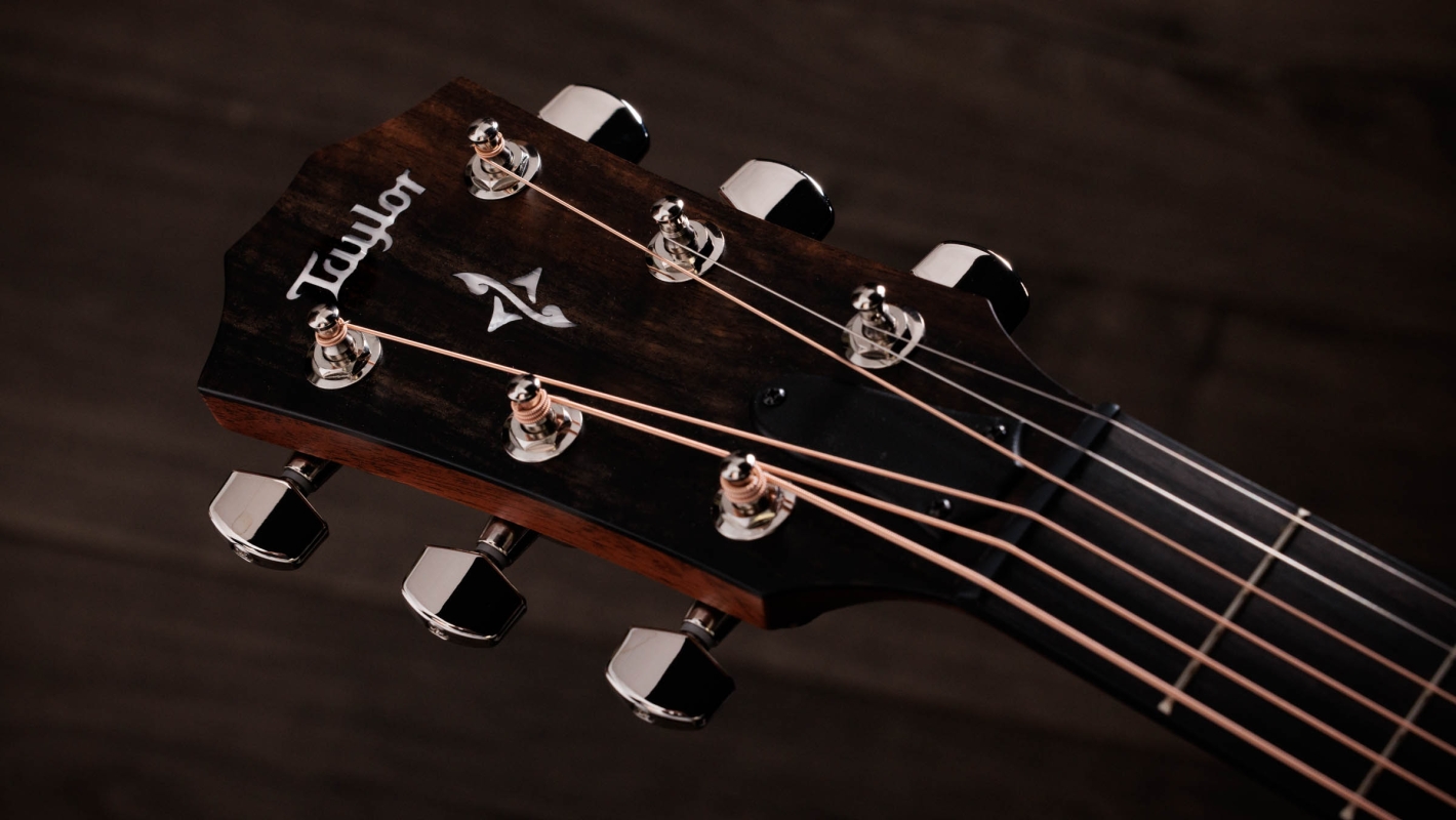 414ce Indian Rosewood Acoustic-Electric Guitar | Taylor Guitars